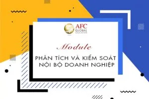 Nghien-cuu-Phan-tich-va-kiem-soat-noi-bo-tai-chinh-cung-chuyen-gia-cua-ACCA-2019-10-10-10-05-27