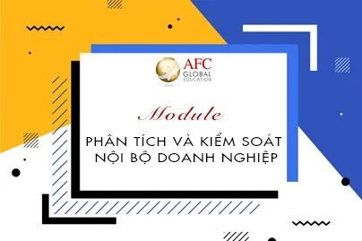 Nghien-cuu-Phan-tich-va-kiem-soat-noi-bo-tai-chinh-cung-chuyen-gia-cua-ACCA-2019-10-10-10-05-27